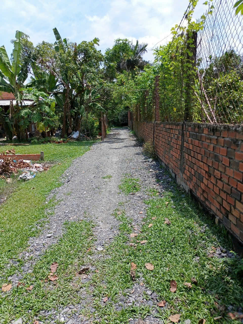 Đất thổ cư xã Đức Hòa Thượng 209m² giá 1.4 tỷ - Vị trí đắc địa đầu tư sinh lời!