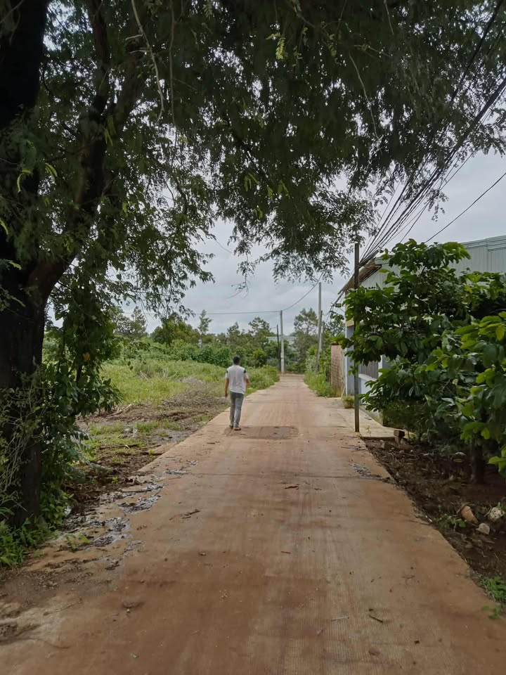 Nhà cho thuê Hẻm 355 Hoàng Sa, Pleiku 1.3 triệu - Gần khu công nghiệp Diên Phú!