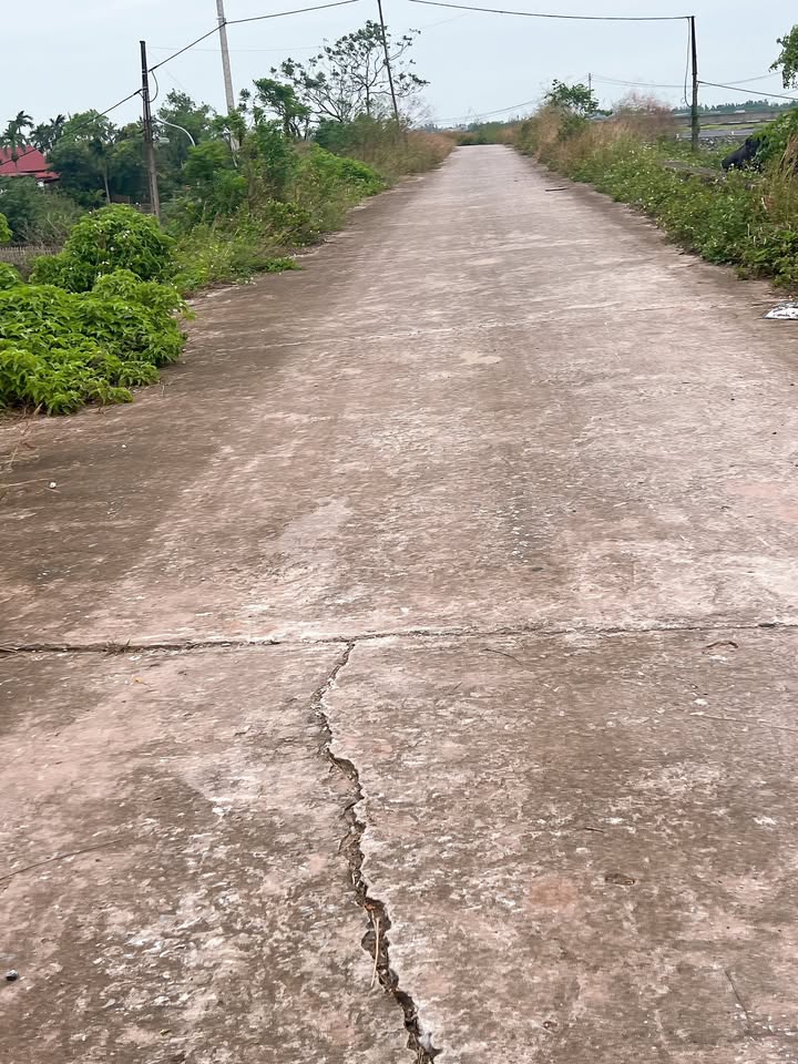 Đất nền chính chủ tại Nghĩa Bình, 355m² giá 1.2 tỷ - Sổ đỏ riêng biệt, hướng Nam thoáng mát!