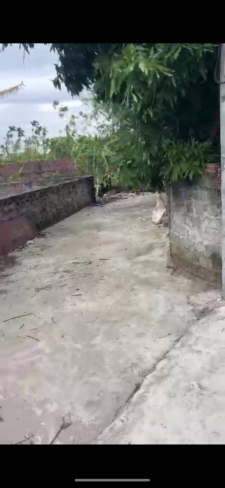 Đất nông nghiệp Hồng Lạc Thanh Hà 6000m² giá 1 tỷ - Sổ hồng chính chủ, ô tô vào tận nơi!