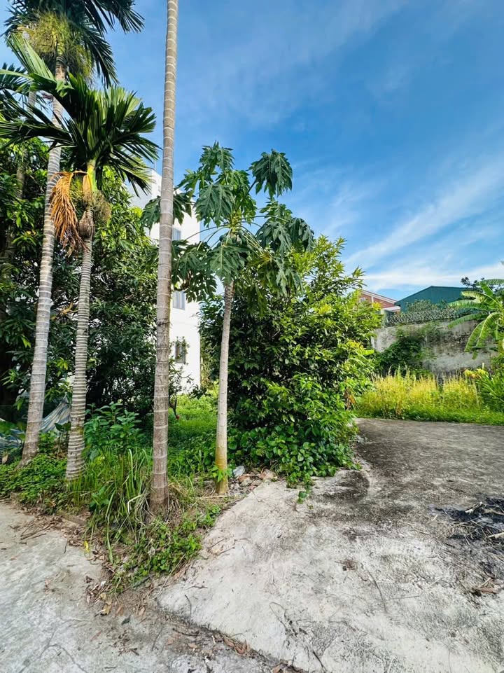 Đất nền Hồ Xuân Hương, Hải Dương 45m² giá từ 1 tỷ - Đầu tư sinh lời ngay!