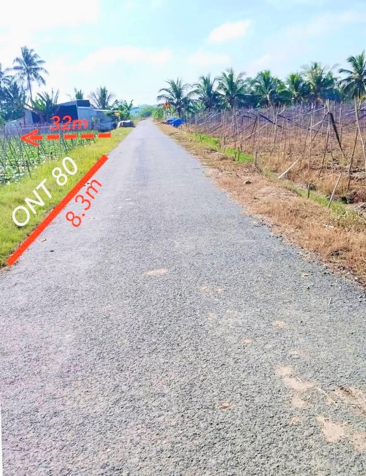 Đất nền mặt tiền Đường huyện 28, Tân Thạnh, 80m² giá chỉ 200 triệu - Cơ hội đầu tư hấp dẫn!