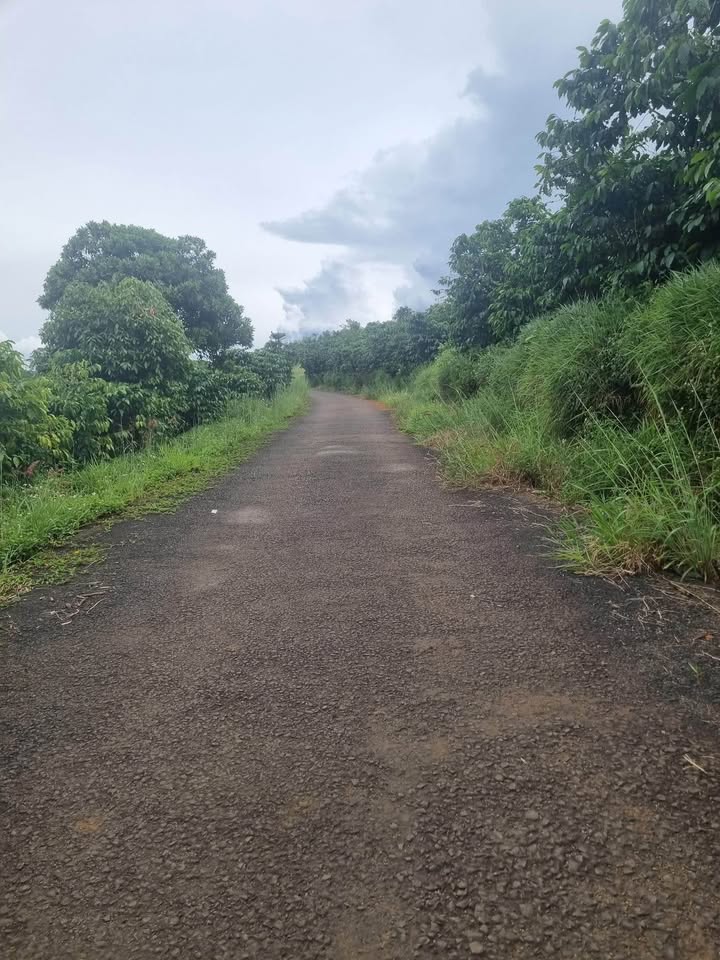 Đất thổ cư 1120m² tại Lộc Quảng, Bảo Lâm - Giá 899 triệu, thuận tiện đầu tư!