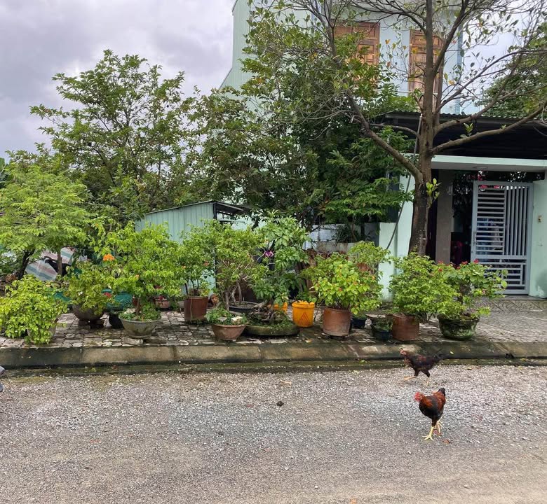 Đất Biệt Thự Hòa Liên Đà Nẵng 221m² giá 3 tỷ - Cơ hội đầu tư hiếm có!