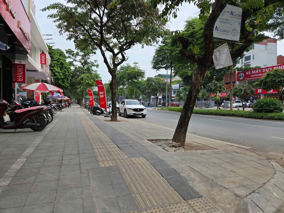 Biệt thự phố Nguyễn Khánh Toàn 263m² giá 215 tỷ - Đầu tư sinh lời ngay!