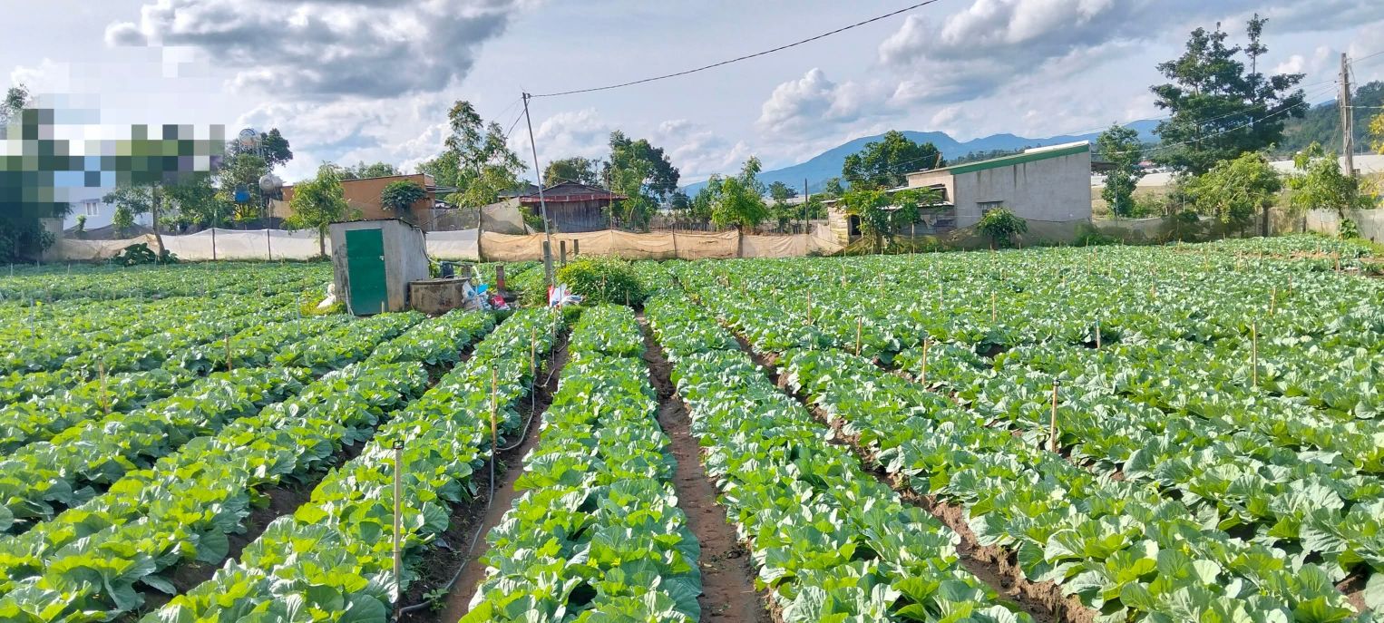 Đất nền 1928m² tại Quảng Lập, Đơn Dương, Lâm Đồng - Đầu tư sinh lời ngay!