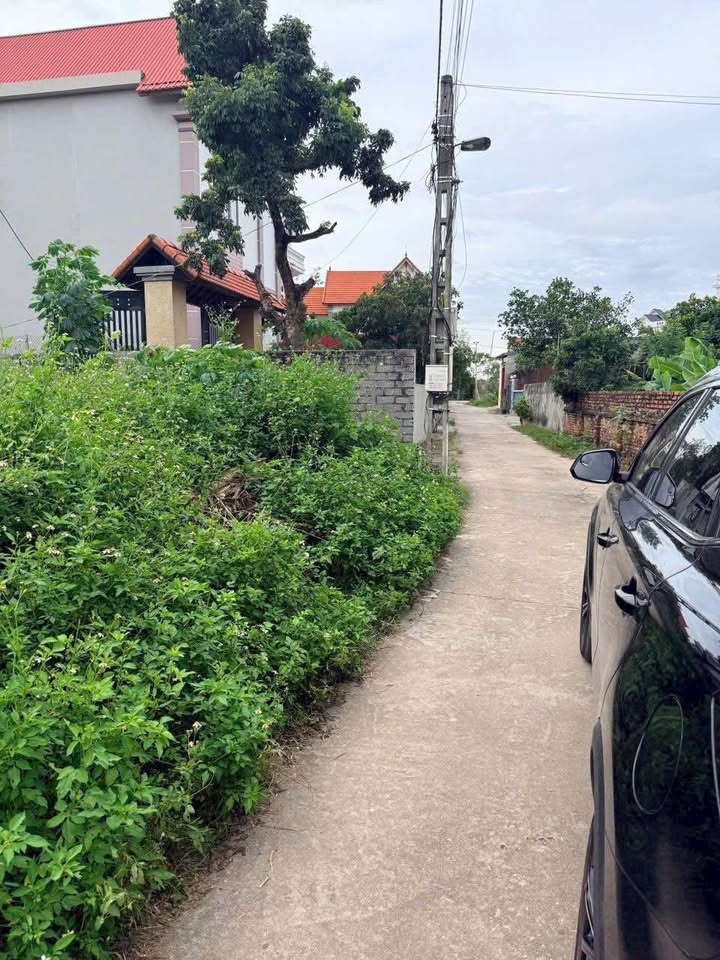 Đất thổ cư Yên Sơn Lục Nam 93m² giá 1.xxx tỷ - Tiềm năng đầu tư cao!