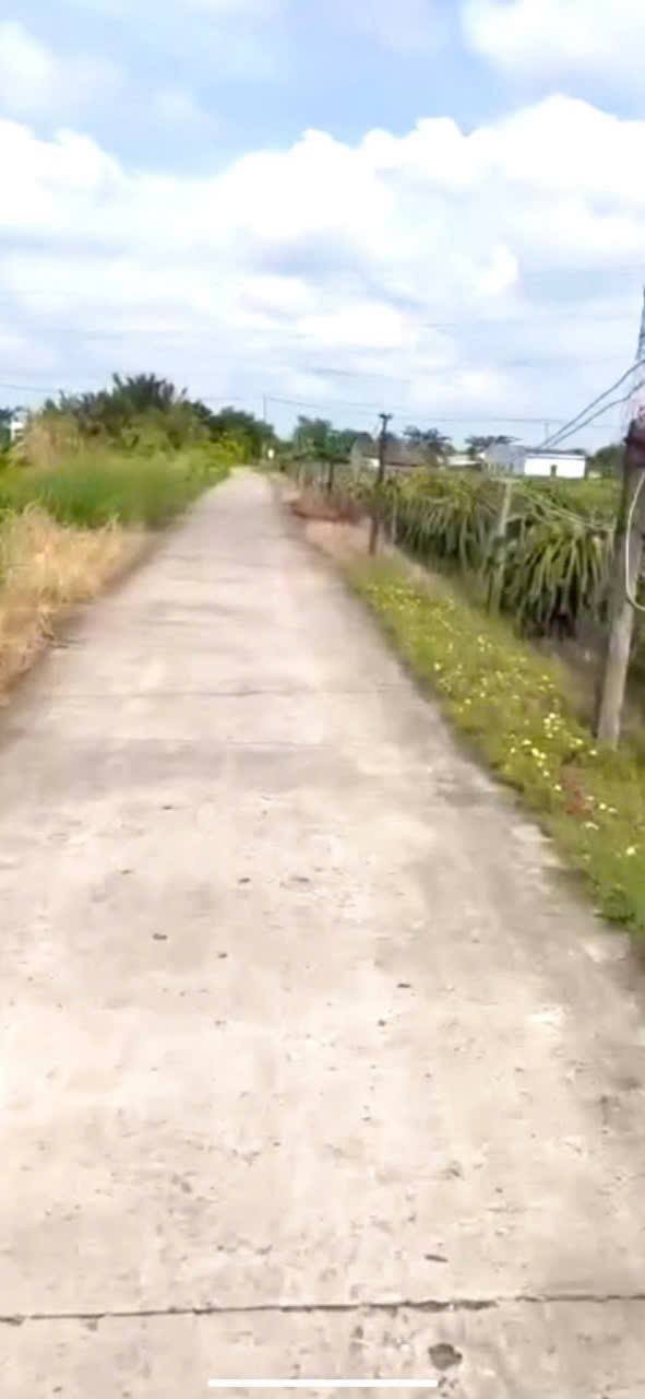 Đất thổ cư xã Vĩnh Công, Châu Thành 1000m² giá 1.25 tỷ - Tiềm năng đầu tư lớn!