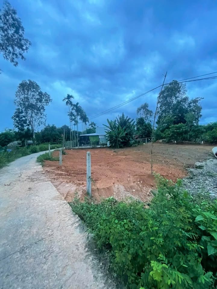 Đất thổ cư Tam Đàn 196m² giá 6xx triệu - Cơ hội đầu tư tuyệt vời!