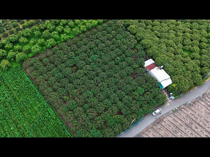 Đất nền 1000m² Hòa Hội, Xuyên Mộc - Mặt tiền nhựa 15m, chỉ 800 triệu!