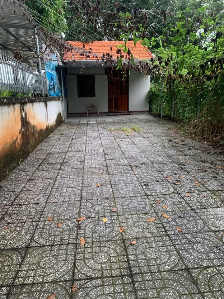 Đất nền Hòa Long Bà Rịa 98m² giá 1.35 tỷ - Sổ hồng chính chủ, bán gấp!