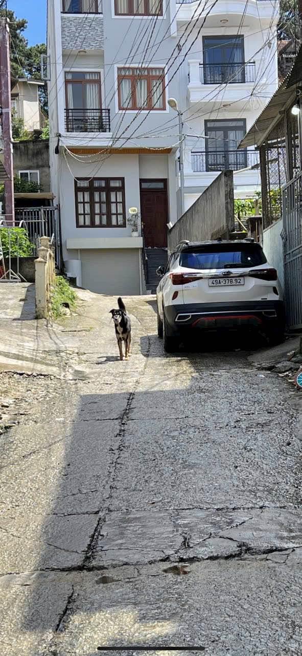 Nhà riêng đường Mai Hắc Đế, Đà Lạt 120m² giá 5.5 tỷ - Sổ đỏ chính chủ!