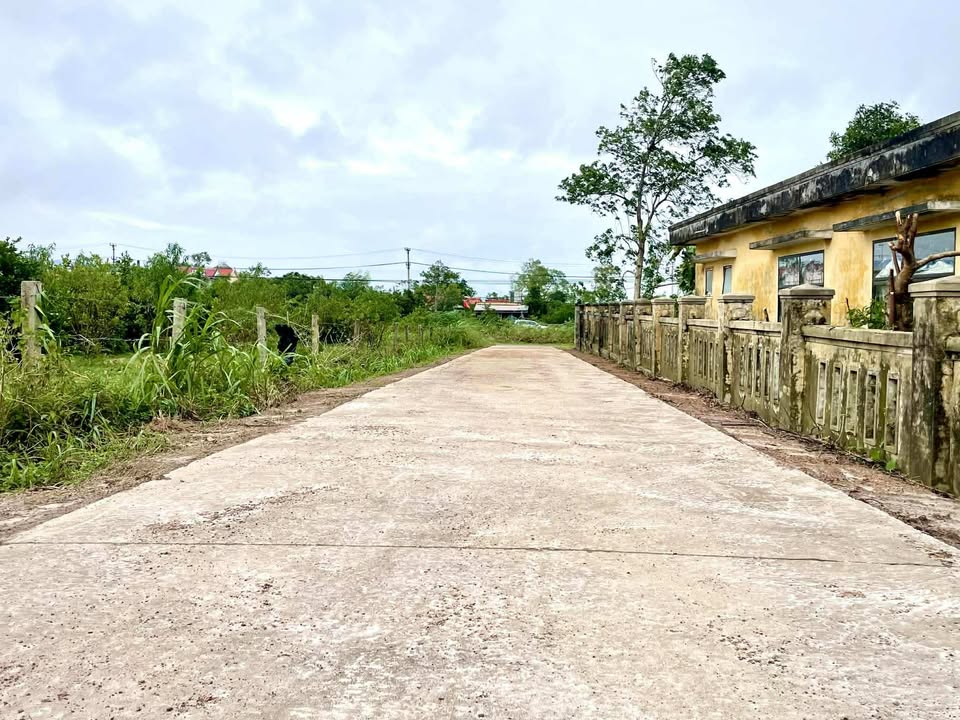 Đất nền Lý Trạch, Bố Trạch, Quảng Bình 120m² - Giá chỉ 500 triệu, đầu tư sinh lời ngay!