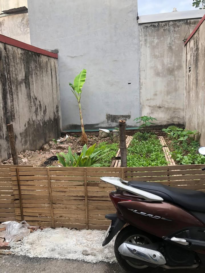 Đất nền Vân Canh Hoài Đức 43m² giá thỏa thuận - Sổ đỏ chính chủ, an ninh tốt!