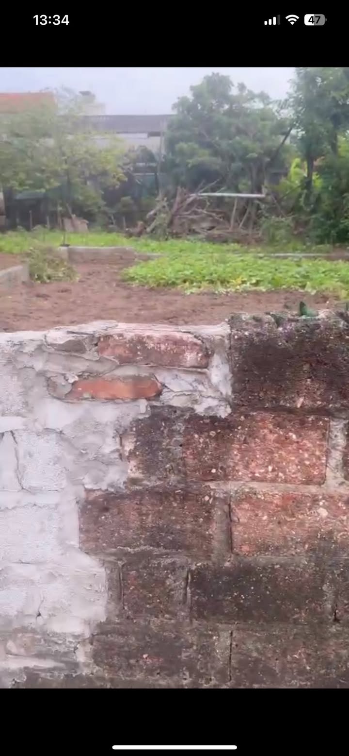 Đất Hồng Vân Thường Tín 80m² giá 4 tỷ - Tiềm năng đầu tư sinh lời!