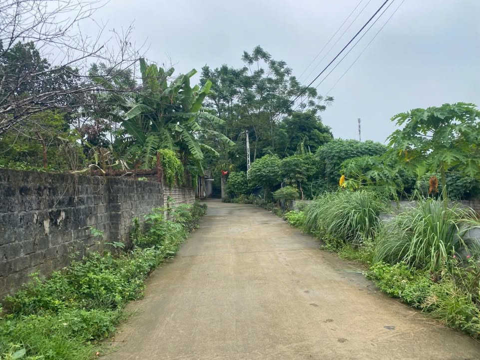 Đất nền đẹp tại xã Yên Bài, Ba Vì, 400m² giá 3 tỷ - Tiềm năng sinh lời cao!