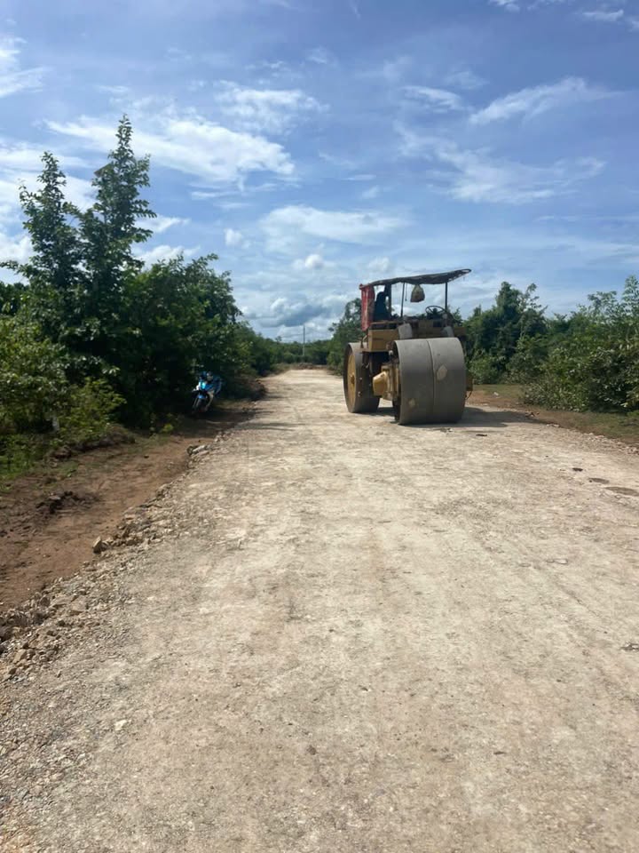 Farm 1ha Hàm Trí Bình Thuận giá 2.7 tỷ - Mặt tiền rộng, thu hoạch ngay!