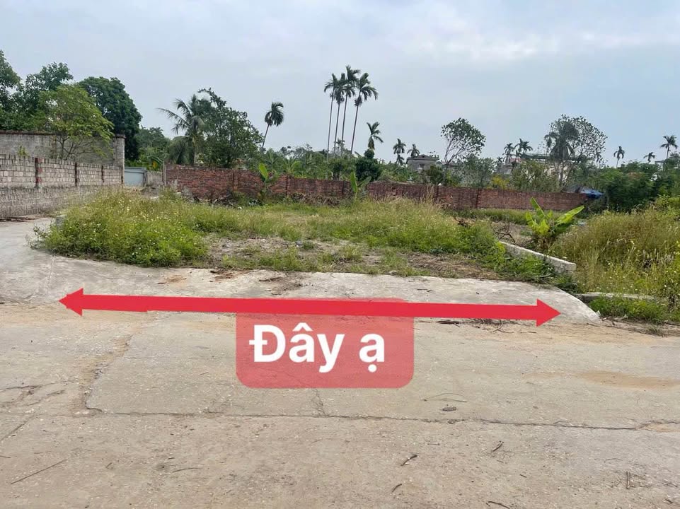 Đất nền Hoàng Quế, Đông Triều 190m² giá 1.1 tỷ - Xây biệt thự siêu đẹp!