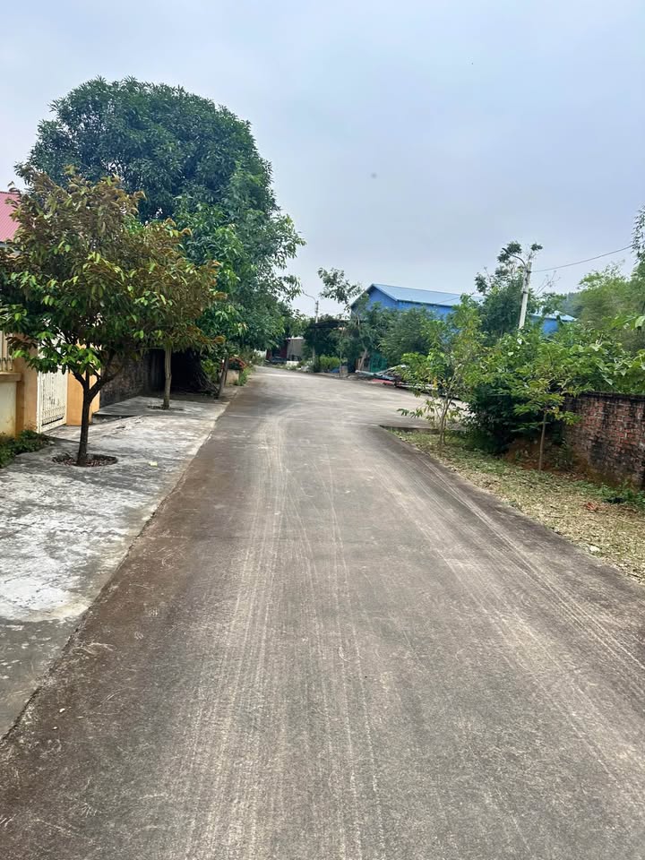 Đất thổ cư Yên Sơn, Tam Điệp 192m² giá chỉ 1.2 tỷ - Đầu tư sinh lời ngay!