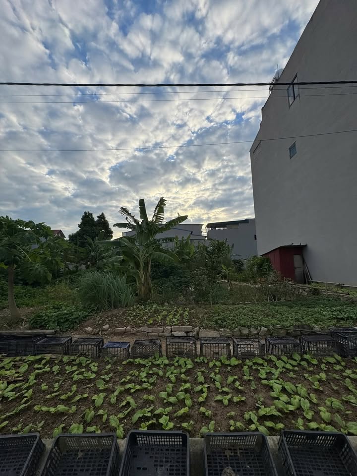 Đất nền đường Lê Thái Tổ, Ninh Bình 82.5m² - Vị trí đắc địa gần trường học!