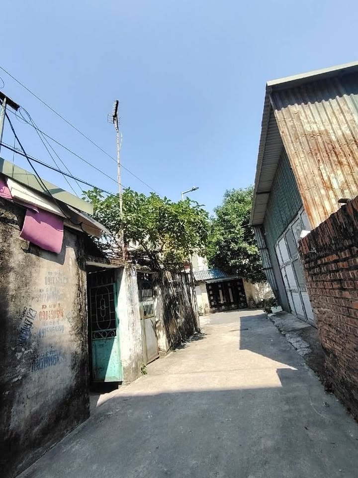 Đất đầu tư tại Trường Lâm, Việt Hưng, Long Biên 59m² giá 8.95 tỷ - Tiềm năng sinh lời cao!