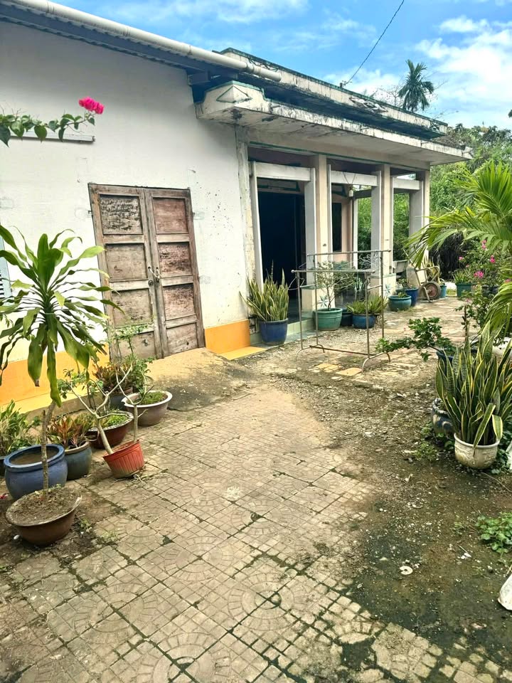 Đất thổ cư 400m² tại Long Bình, Thủ Đức - Chỉ 9 tỷ VND, giảm giá mạnh!