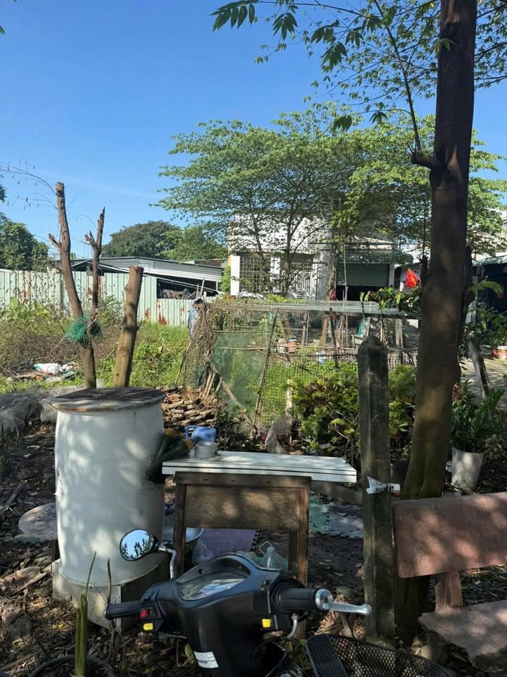 Đất thổ cư Đông Thạnh, Hóc Môn - Giá tốt chỉ từ 3.3 tỷ!