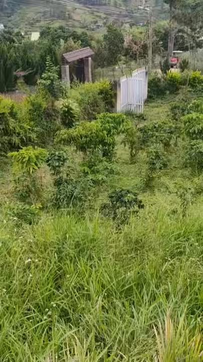 Đất nông nghiệp 4 sào tại Hiệp An, Đức Trọng - Giá chỉ 2.6 tỷ - Phù hợp xây nhà nghỉ dưỡng!