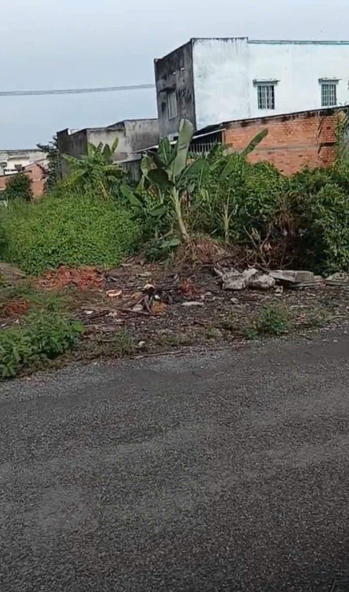 Đất nền Tân Hiệp, Thạnh Hóa 100m² giá 500 triệu - Cơ hội đầu tư tuyệt vời!