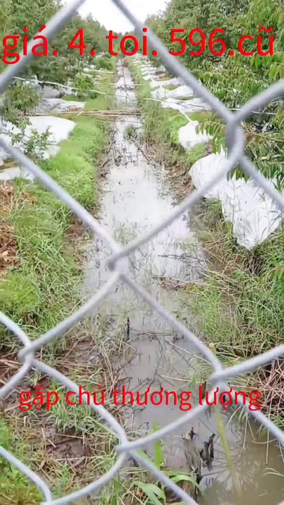 Đất nông nghiệp 9000m² tại xã Thanh Mỹ, Đồng Tháp - Giá 500 triệu, đầu tư sinh lời!