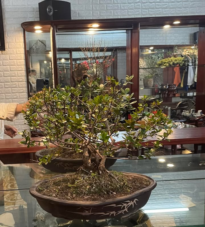 Bán nhà mặt đường Giải Phóng, phường Đông A, Nam Định 45m² - Địa thế kinh doanh lý tưởng!