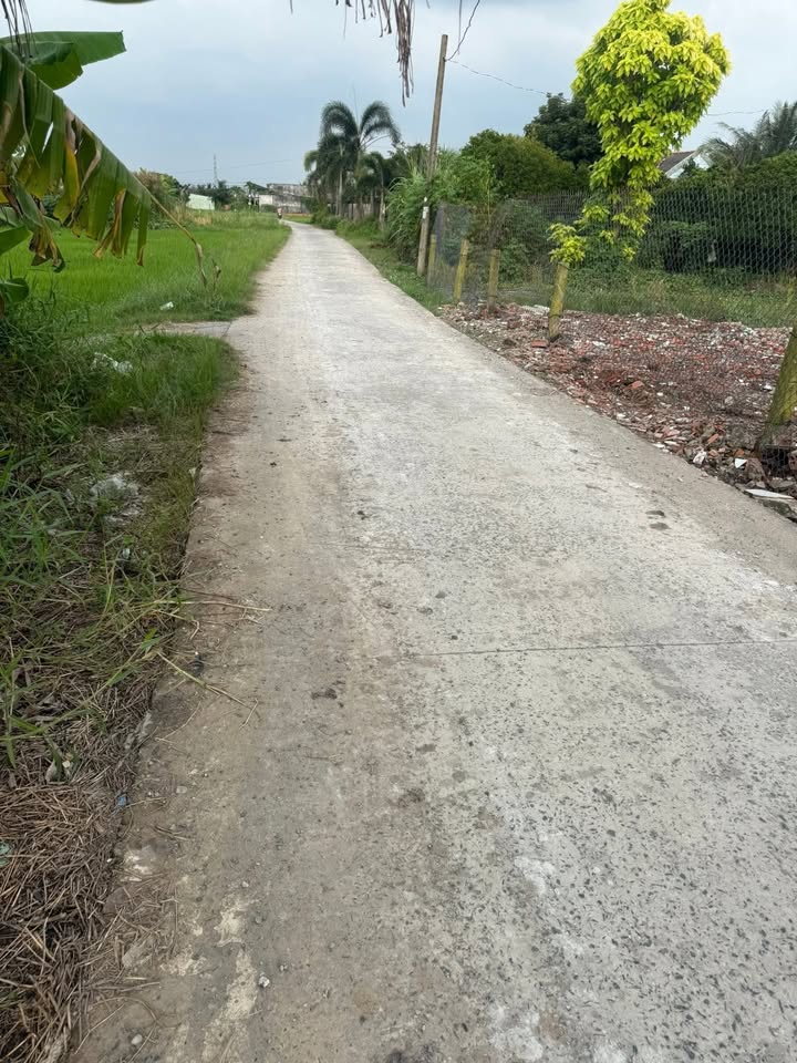 Đất thổ cư Nhựt Chánh, Bến Lức 125m² giá chỉ 769 triệu - Sổ hồng riêng chính chủ!