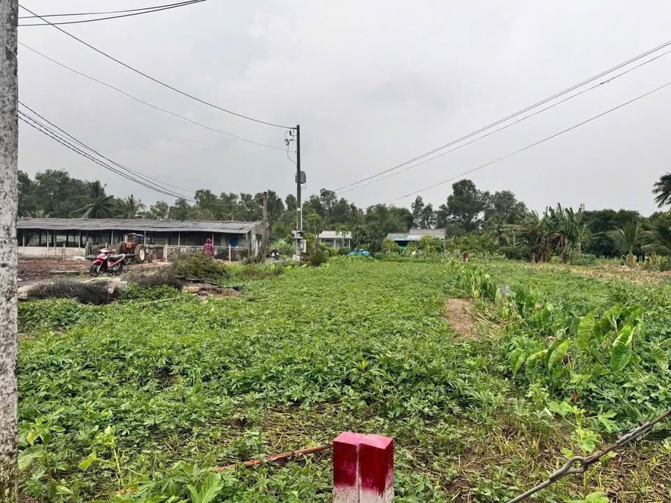 Đất nền Bình Lãng, Tân Trụ, Long An 150m² giá 450 triệu - Xây dựng ngay!