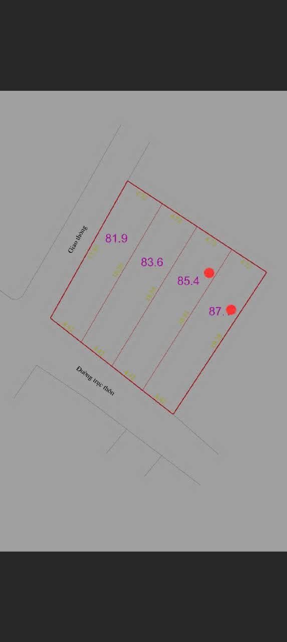 Đất thổ cư Nam Thắng Tiền Hải 85m² - Giá đầu tư hấp dẫn!