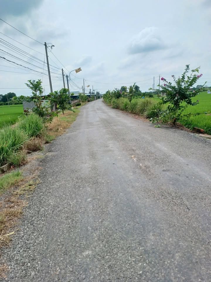 Đất thổ cư 989m² mặt tiền đường Cao Thị Lầu, Tân Trụ - Giá chỉ 1.2 tỷ!