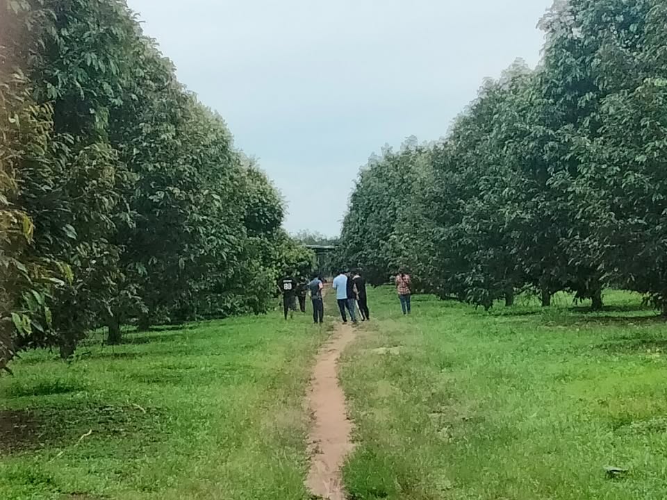 Farm sầu riêng Thái 7,1ha tại Đăng Hà, Bình Phước - Đầu tư sinh lời 16 tỷ!