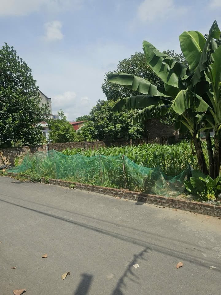 Đất thổ cư 220m² mặt đường DH09 xã Phú Cát, Quốc Oai - Giá chỉ 8 tỷ!