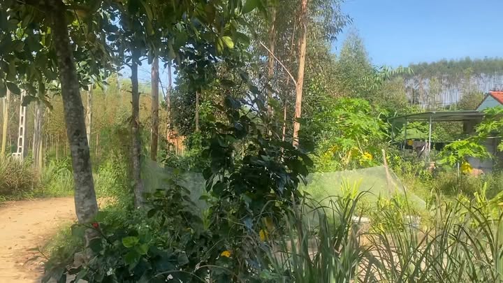 Nhà vườn Đồng Tiến 1300m² giá 1 tỷ - Sẵn sàng vào ở ngay!