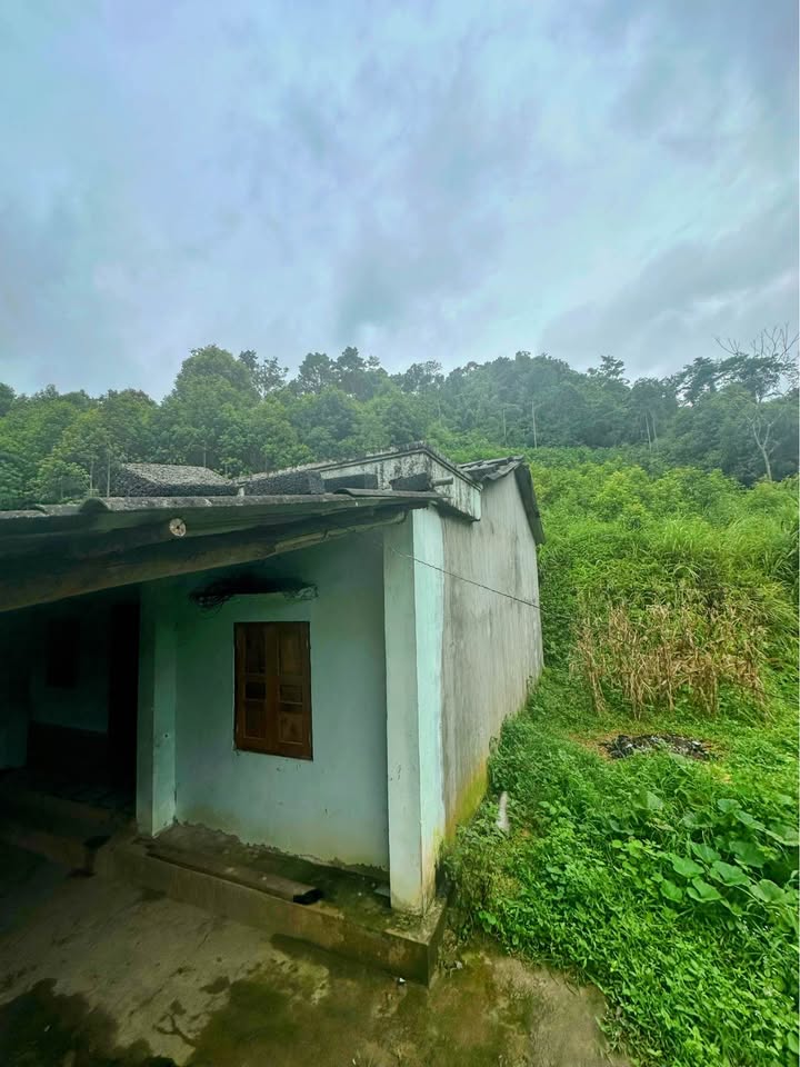 Đất nông nghiệp 28.000m² tại xã Xuân Dương, Na Rì, giá 1.1 tỷ - Cơ hội đầu tư tuyệt vời!