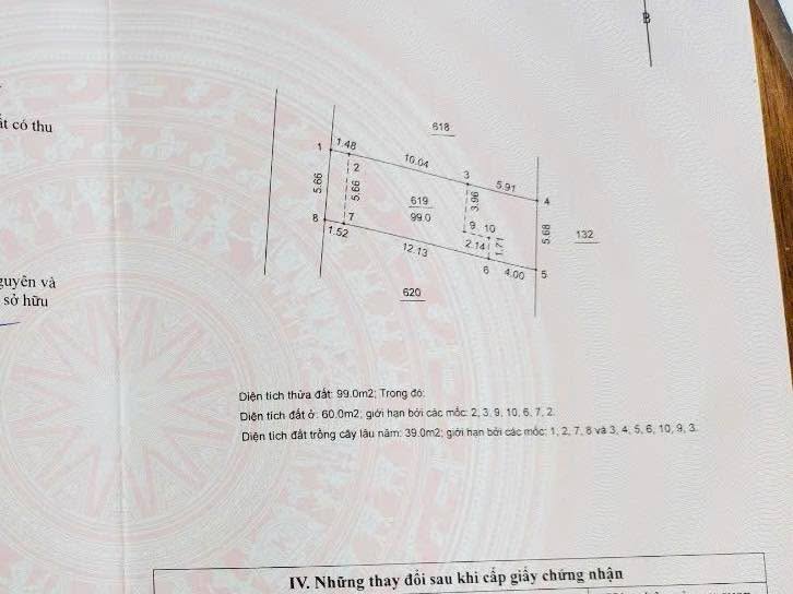 Đất thổ cư Hạ Bằng, Thạch Thất 99m² giá thỏa thuận - Cơ hội đầu tư tuyệt vời!
