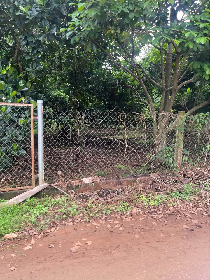 Lô đất 2 mặt tiền Bảo Vinh Long Khánh 175m² chỉ 500 triệu - Cơ hội đầu tư tuyệt vời!