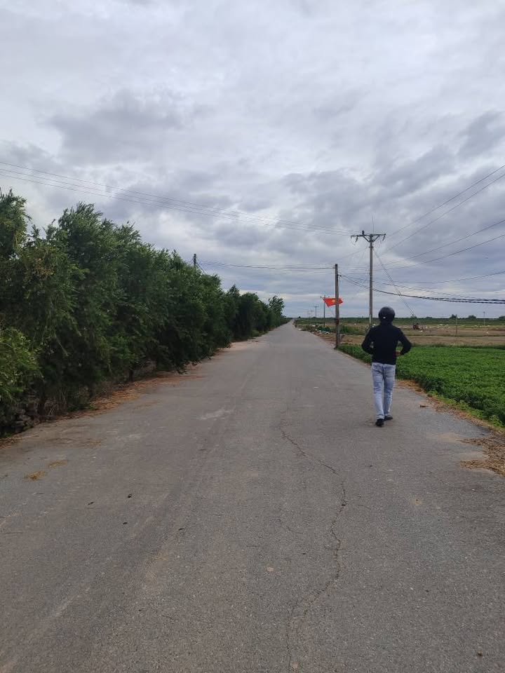 Bán Lô Đất Trục Chính Liên Thôn Lai Hạ, Lương Tài 106m² - Tiềm Năng Đầu Tư Cao!