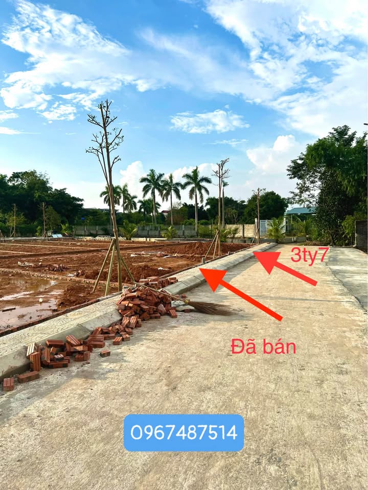 Đất nền góc 3 mặt tiền Cổ Đông, Sơn Tây, 100m² - Cơ hội đầu tư sinh lời!