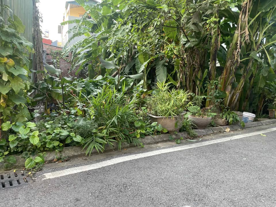 Đất Kim Sơn Gia Lâm 70m² giá 3.8 tỷ - Cơ hội đầu tư sinh lời!