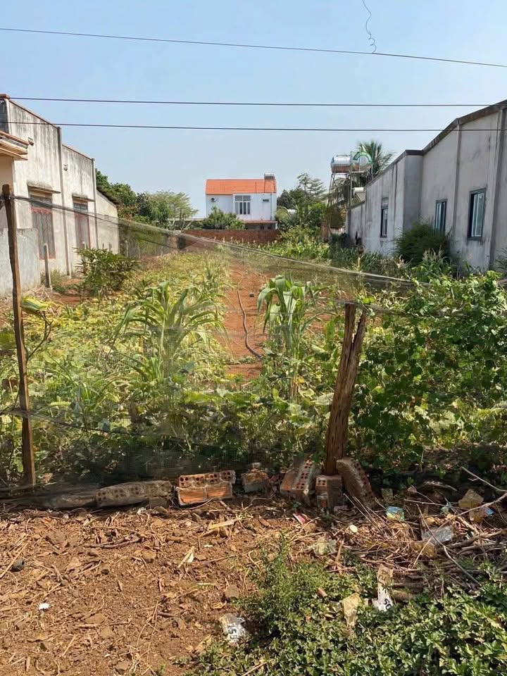 Đất nền Buôn Ma Thuột 600m² giá 2.65 tỷ - Đầu tư sinh lời ngay!