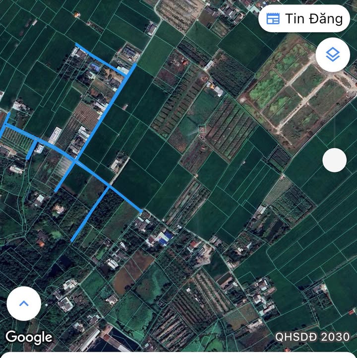 Đất nông nghiệp 1500m² tại ấp 7 Nhựt Chánh chỉ 600 triệu - Cơ hội đầu tư hấp dẫn!