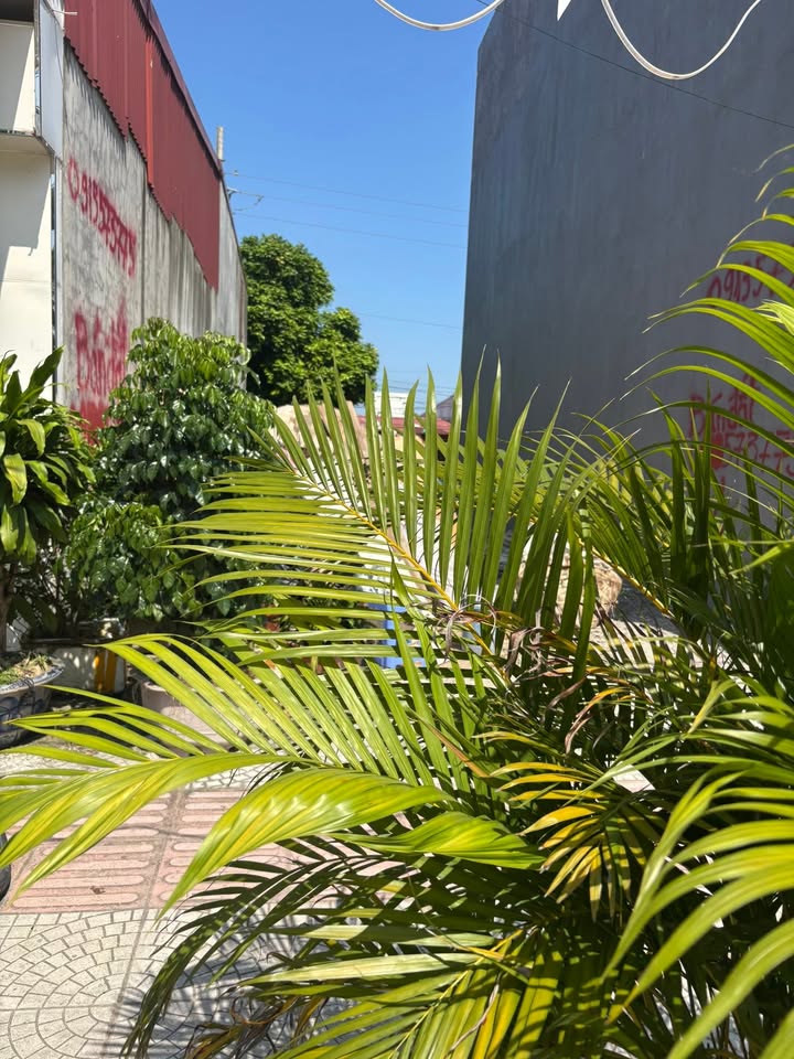 Lô đất mặt đường Máng, phường An Đồng 68m² giá 5 tỷ - Đầu tư sinh lời ngay!