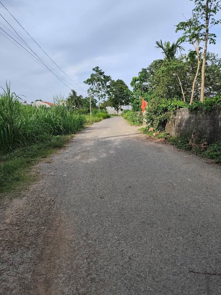 Đất thổ cư 204m² tại xã Sao Vàng, huyện Thọ Xuân - Giá chỉ 500 triệu!