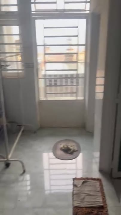 Nhà cho thuê tại phường B'Lao, Bảo Lộc, 4 triệu/tháng - Mặt tiền thuận lợi cho kinh doanh