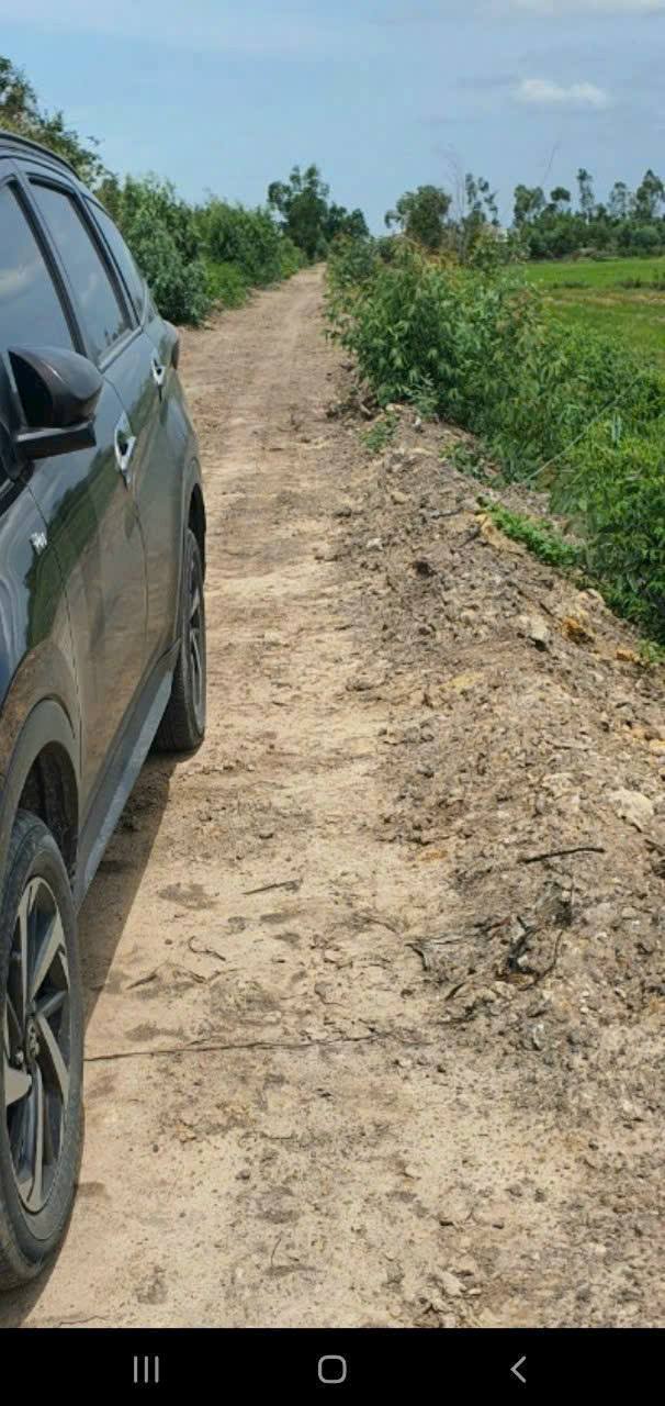 Đất rừng sản xuất 5300m² xã Mỹ Bình - Giá 1,5 tỷ - Đầu tư hiệu quả!